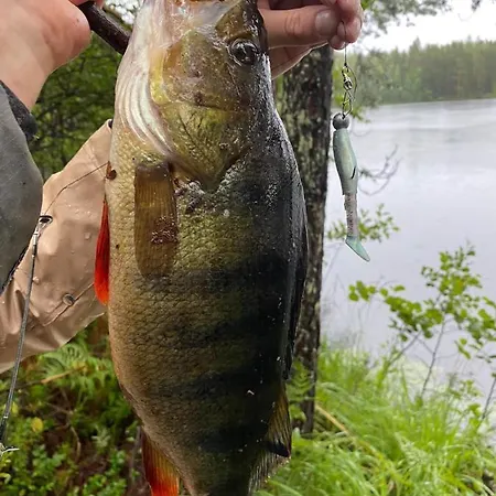 Fishing Hiekkaranta Simpele Holiday home