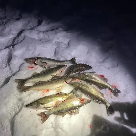 Fishing Hiekkaranta Simpele *