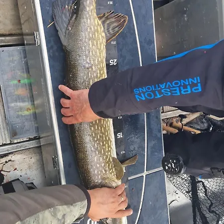 Hiekkaranta * Parikkala