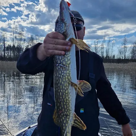 Hébergement de vacances Hiekkaranta