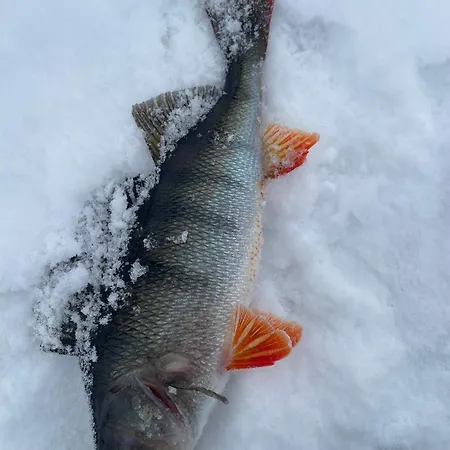 Hiekkaranta Parikkala