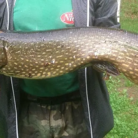 Casa de Férias Hiekkaranta *