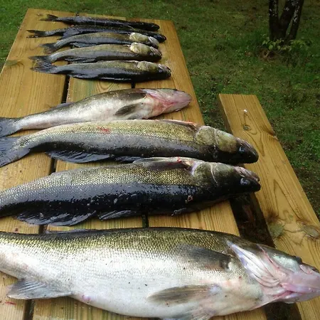 Hiekkaranta * Parikkala