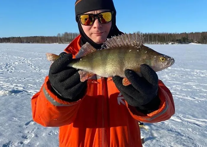 度假居 Hiekkaranta