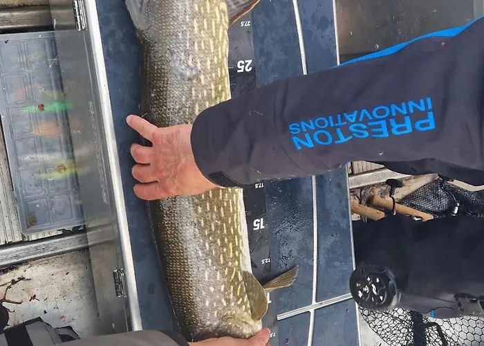 Hiekkaranta * 帕里卡拉