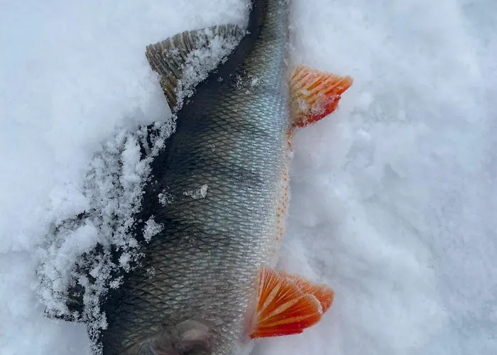 Hiekkaranta 帕里卡拉