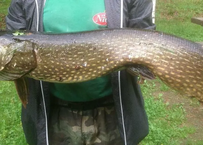 度假居 Hiekkaranta *