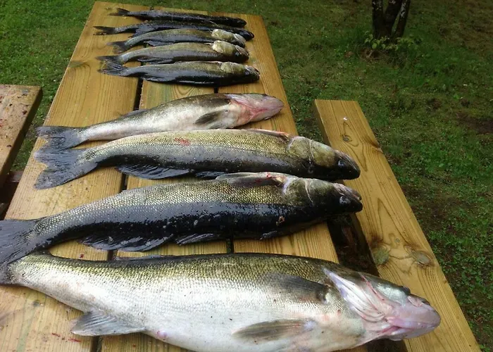 Hiekkaranta * Париккала